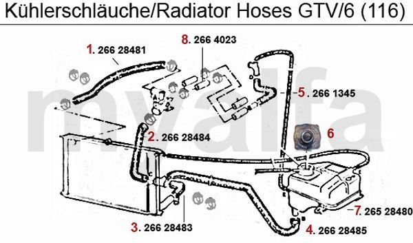 RADIATOR HOSES GTV/6