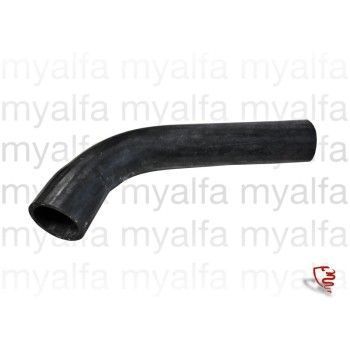 LOWER WATER HOSE 2600                                       